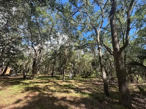 10415 NE 142nd Place Fort Mc Coy FL 32134