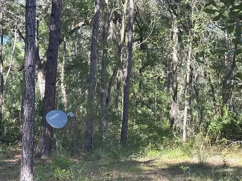 10415 NE 142nd Place Fort Mc Coy FL 32134