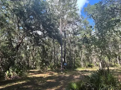 10415 NE 142nd Place Fort Mc Coy FL 32134