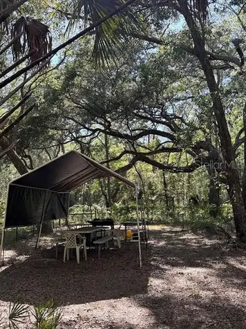 10415 NE 142nd Place Fort Mc Coy FL 32134