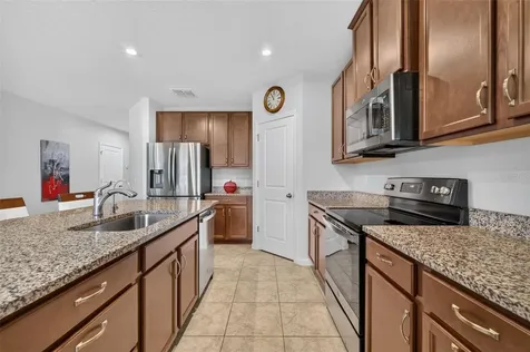 341 Winter Bliss Lane Mount Dora FL 32757