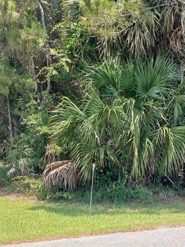 212 Hickory Avenue Oak Hill FL 32759