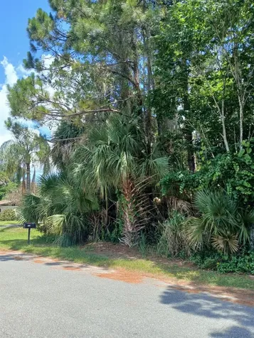 212 Hickory Avenue Oak Hill FL 32759