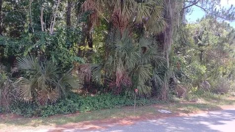 212 Hickory Avenue Oak Hill FL 32759