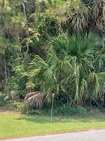212 Hickory Avenue Oak Hill FL 32759