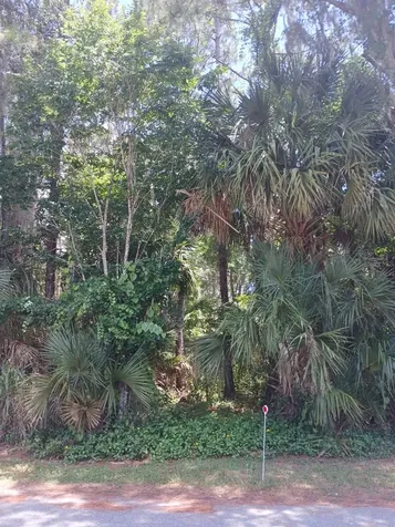 212 Hickory Avenue Oak Hill FL 32759