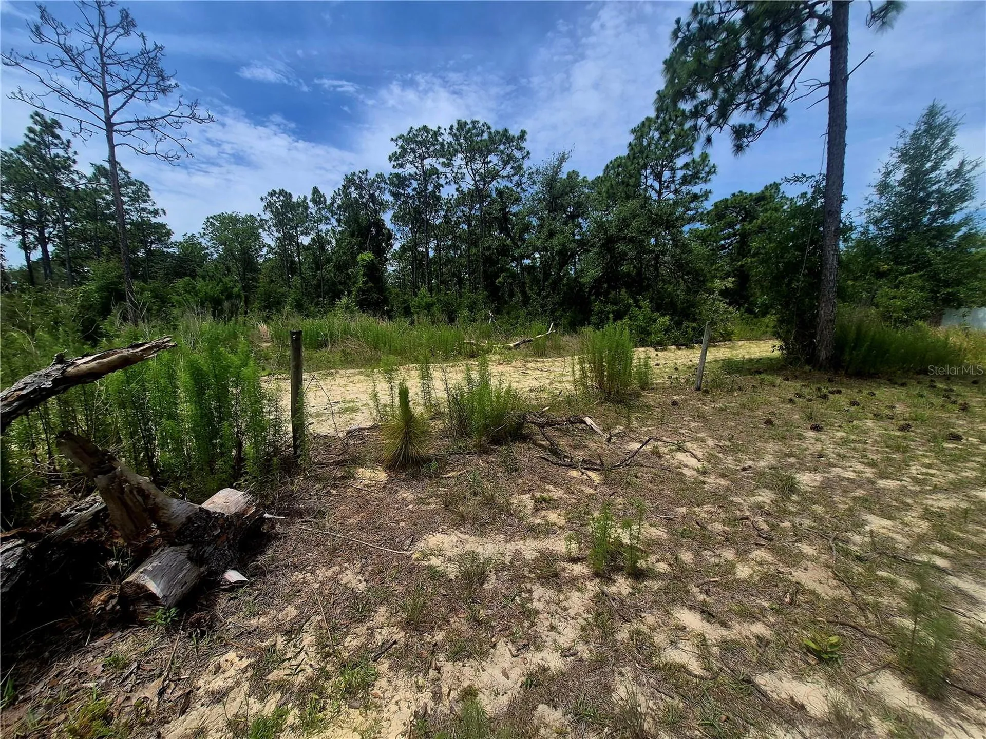 Brooksville FL 34614