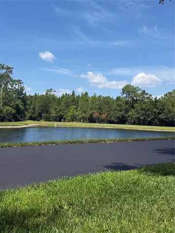 14455 Prunningwood Place Winter Garden FL 34787