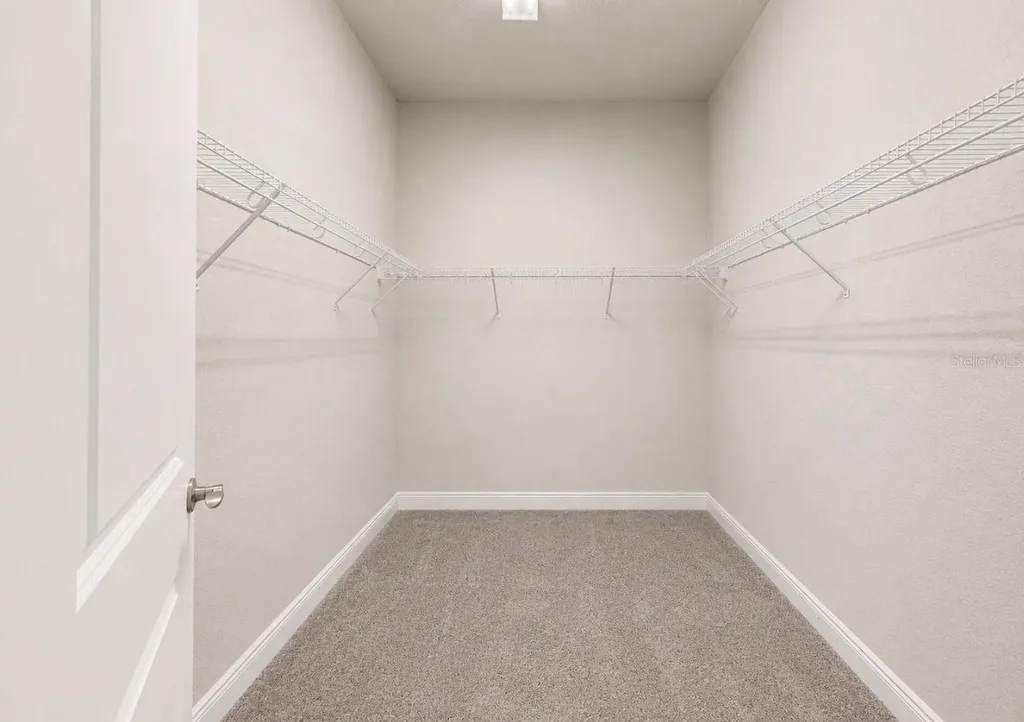 13712 Osprey Fern Lane Riverview FL 33569