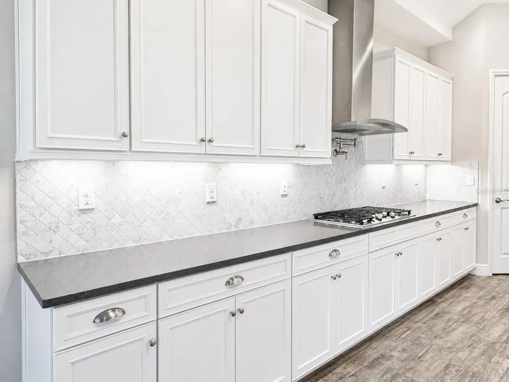 13712 Osprey Fern Lane Riverview FL 33569