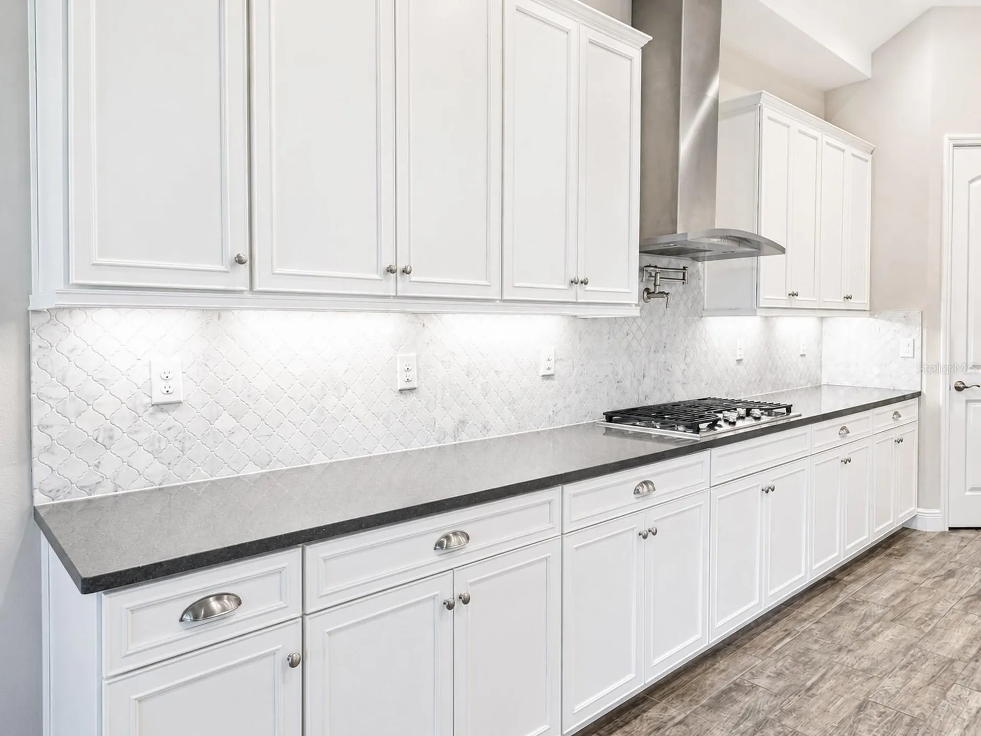 13712 Osprey Fern Lane Riverview FL 33569