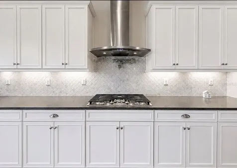 13712 Osprey Fern Lane Riverview FL 33569