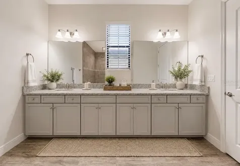 13712 Osprey Fern Lane Riverview FL 33569