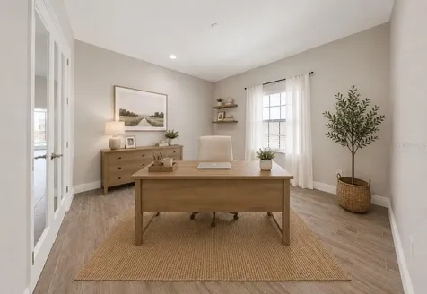 13712 Osprey Fern Lane Riverview FL 33569