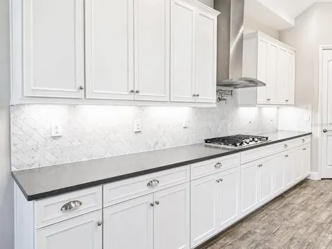 13712 Osprey Fern Lane Riverview FL 33569
