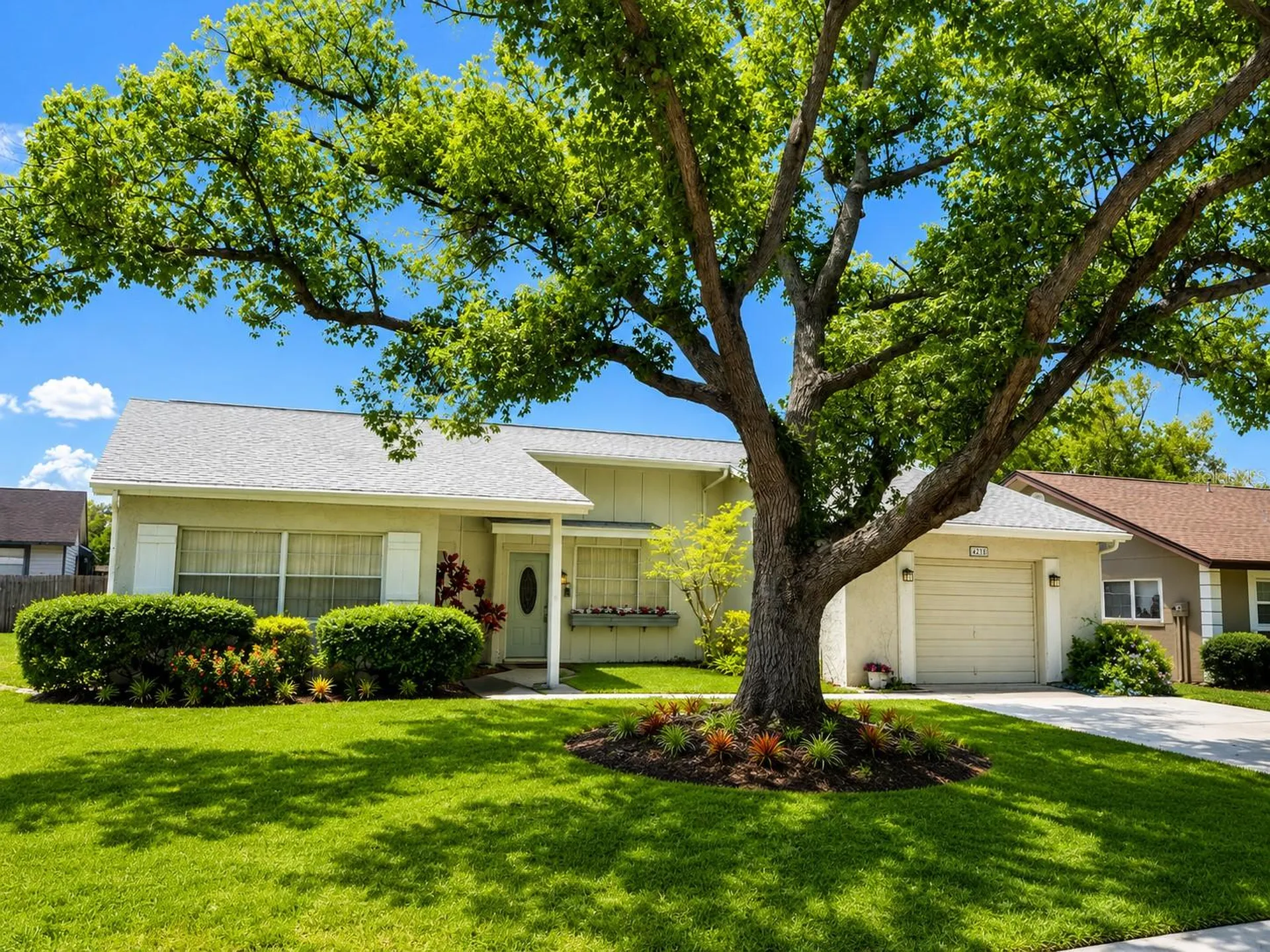 4238 Pinefield Avenue Holiday FL 34691