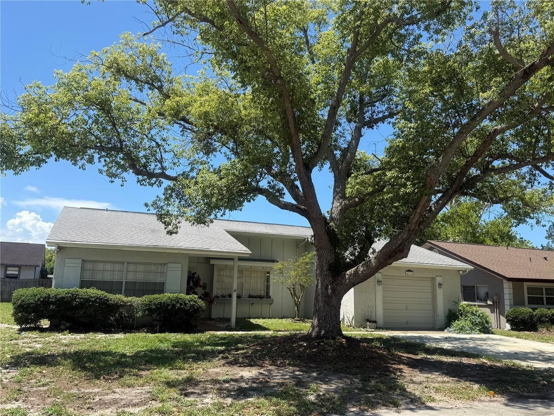 4238 Pinefield Avenue Holiday FL 34691
