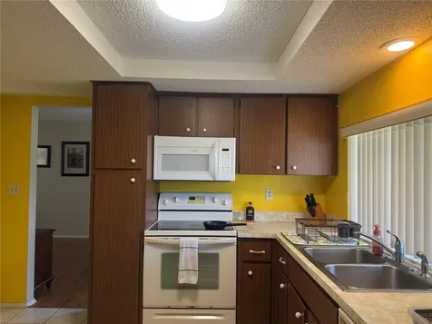 4238 Pinefield Avenue Holiday FL 34691
