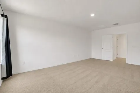 11338 Amber Ridge Drive Zellwood FL 32798