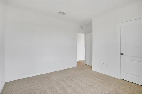 11338 Amber Ridge Drive Zellwood FL 32798
