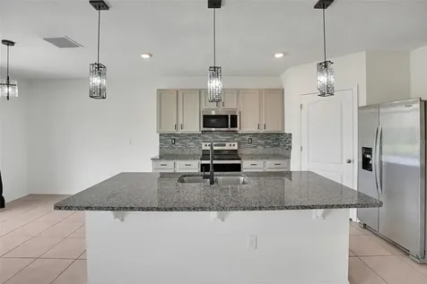 11338 Amber Ridge Drive Zellwood FL 32798