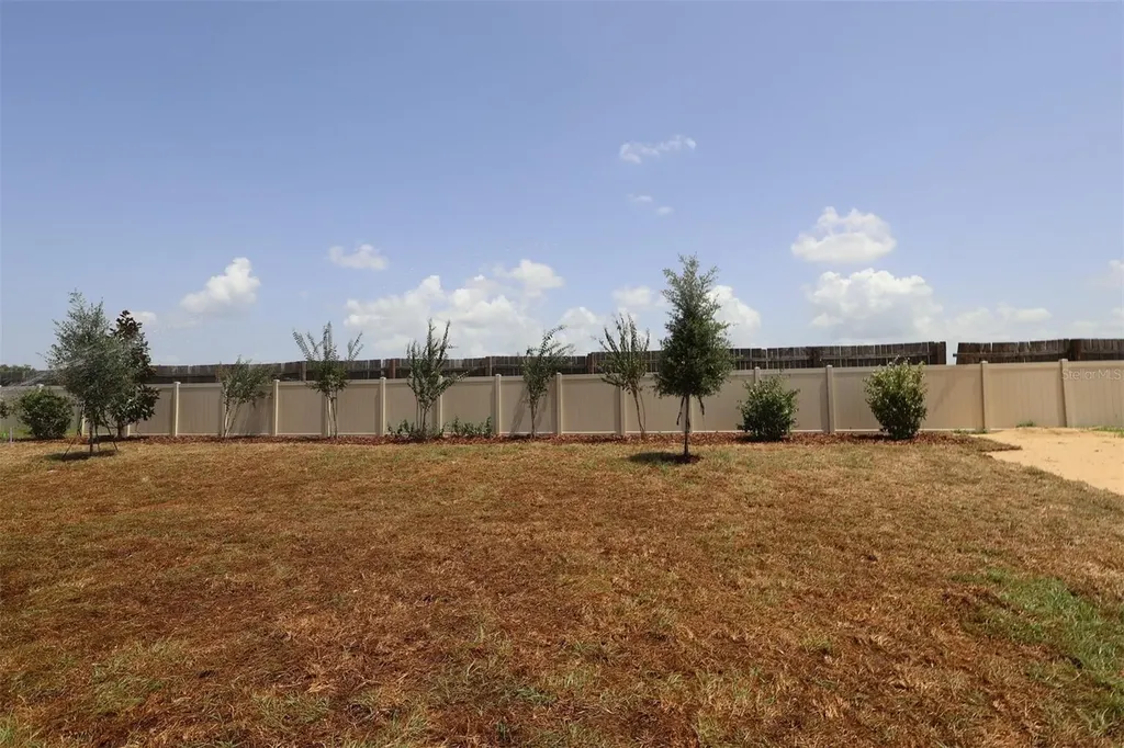 3206 Wolf Lake Avenue Apopka FL 32712