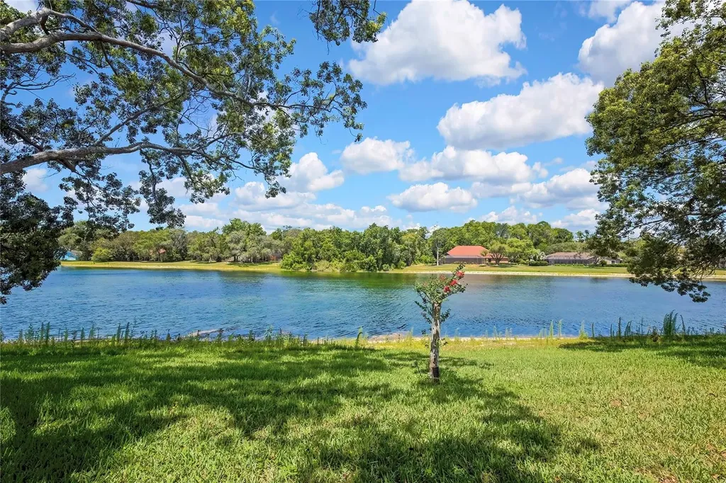 4293 River Birch Drive Spring Hill FL 34607
