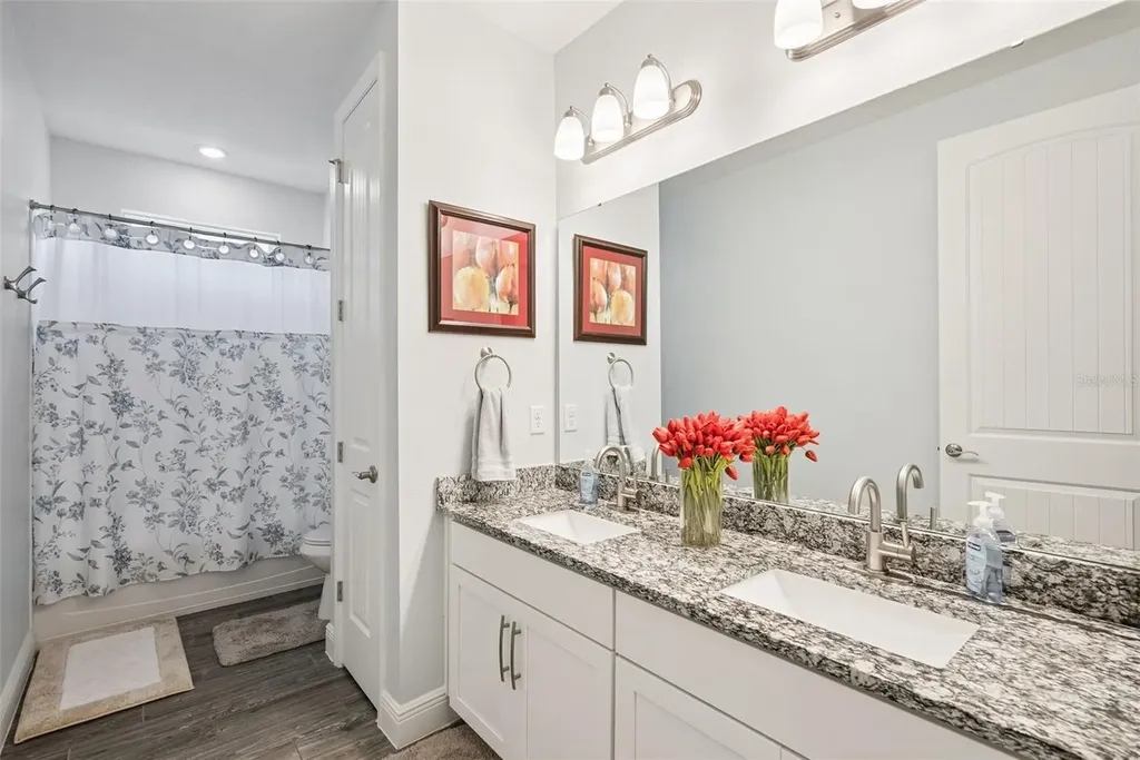 3113 Pinenut Drive Apopka FL 32712
