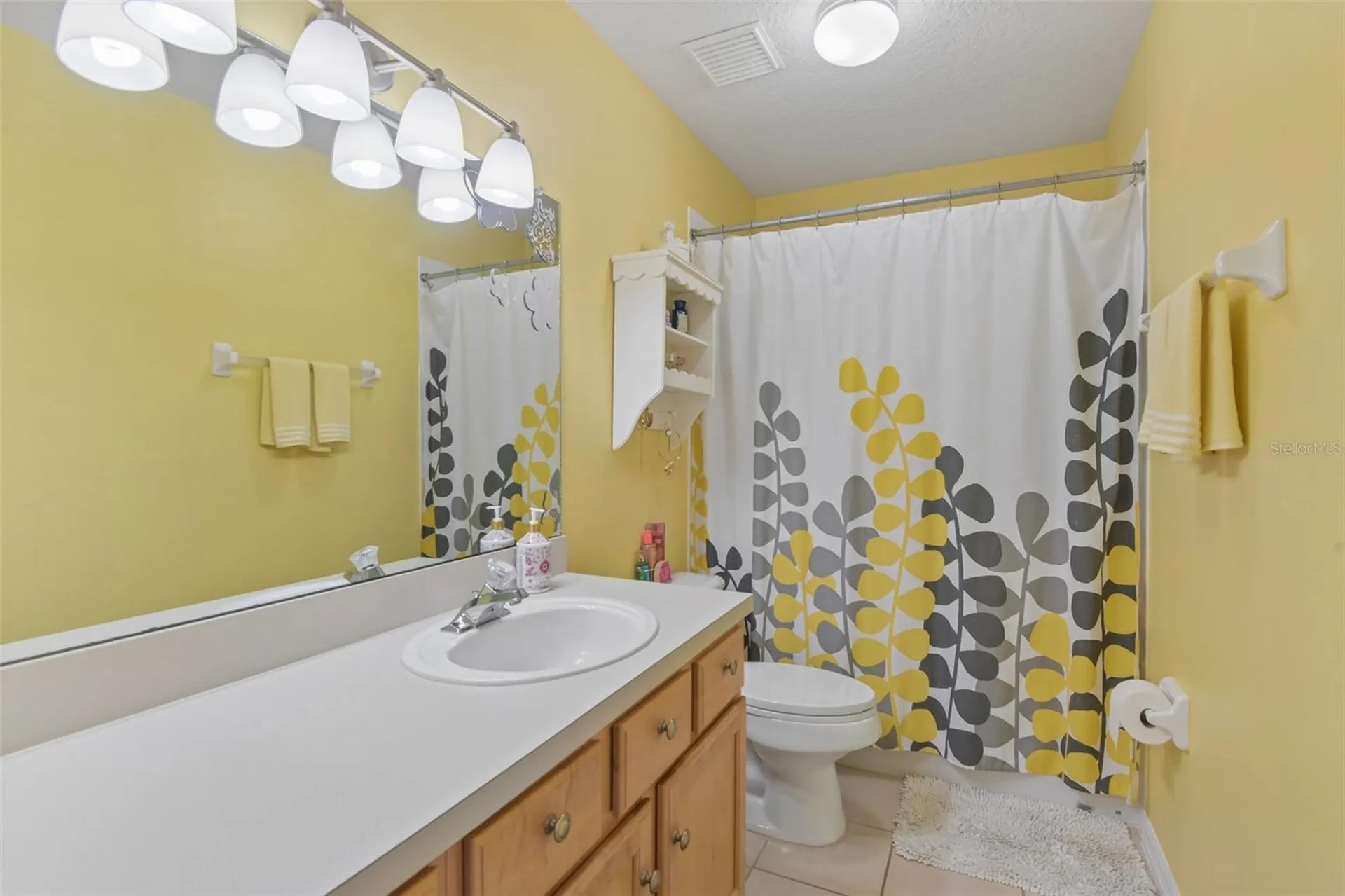 18116 Sugar Brooke Drive Tampa FL 33647