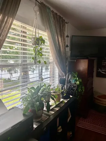 1180 Paseo Del Mar Casselberry FL 32707