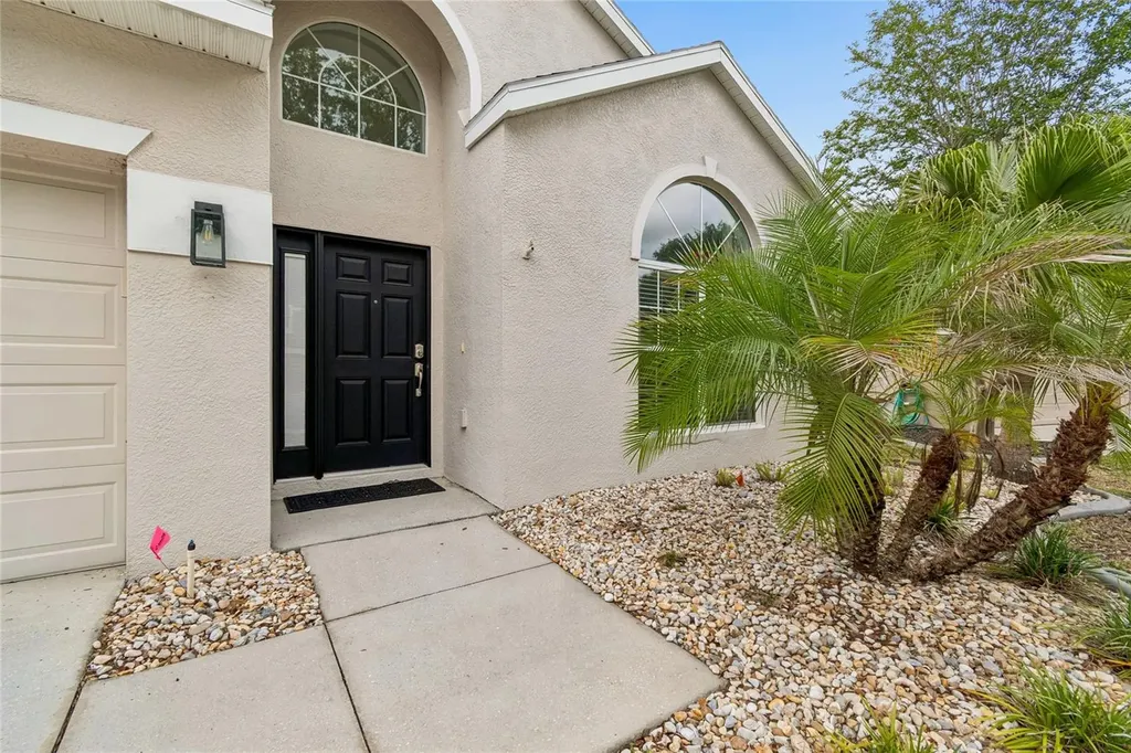 12155 Infinity Drive New Port Richey FL 34654