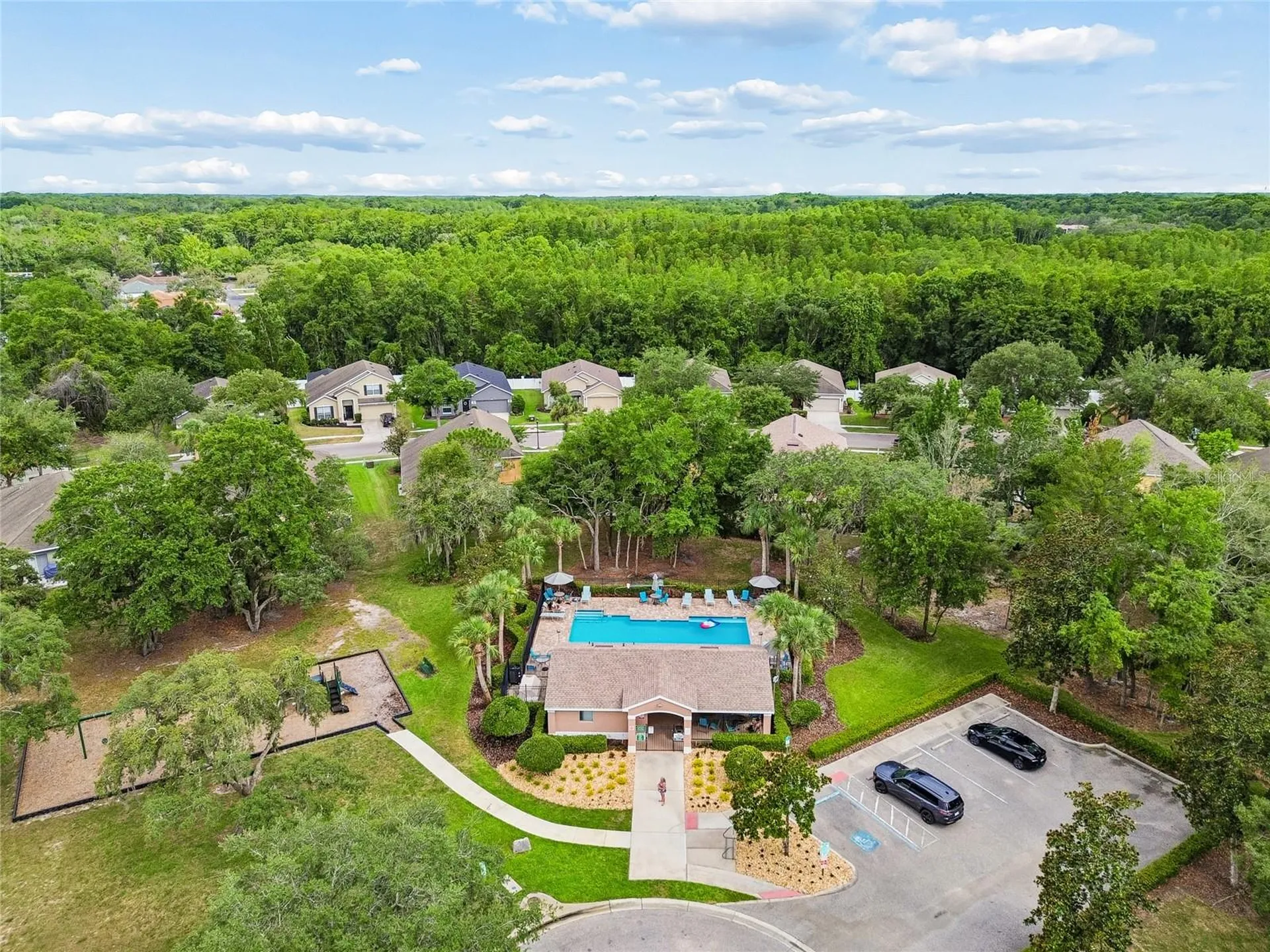 12155 Infinity Drive New Port Richey FL 34654