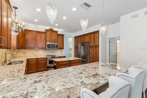 12155 Infinity Drive New Port Richey FL 34654