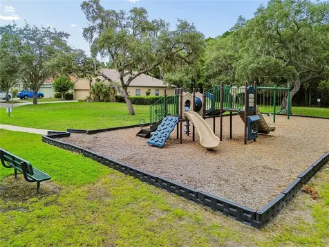 12155 Infinity Drive New Port Richey FL 34654