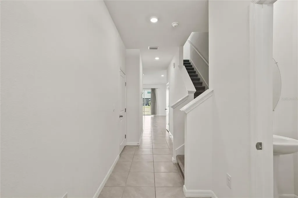 33055 Tulip Petal Lane Wesley Chapel FL 33545