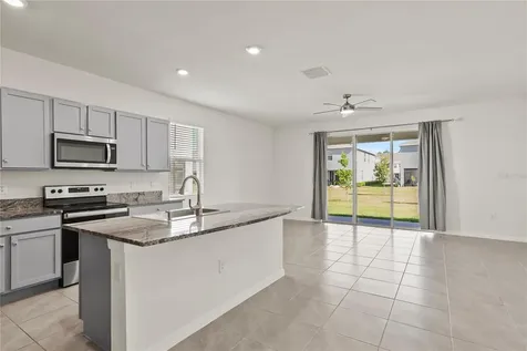 33055 Tulip Petal Lane Wesley Chapel FL 33545