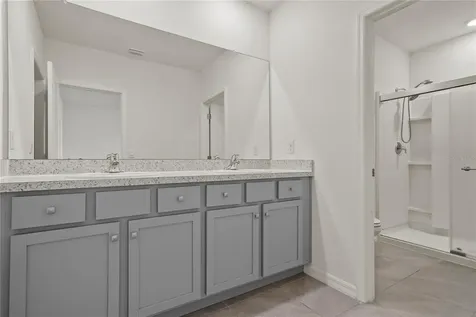 33055 Tulip Petal Lane Wesley Chapel FL 33545