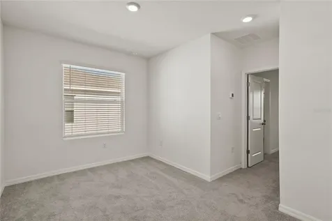33055 Tulip Petal Lane Wesley Chapel FL 33545