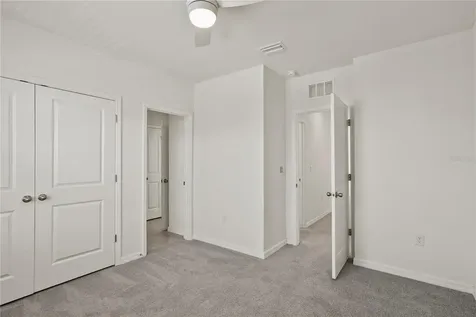 33055 Tulip Petal Lane Wesley Chapel FL 33545