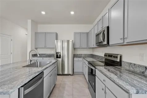 33055 Tulip Petal Lane Wesley Chapel FL 33545