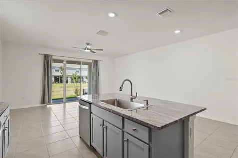 33055 Tulip Petal Lane Wesley Chapel FL 33545