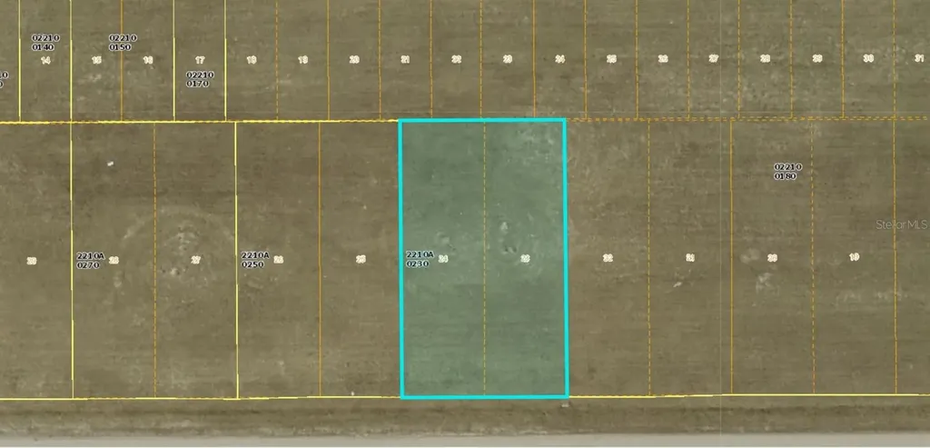 1713 NE 15th Lane Cape Coral FL 33909