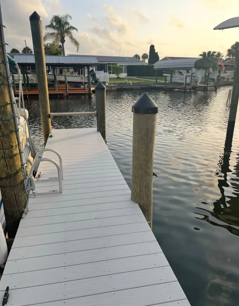 1002 Silver Palm Way Apollo Beach FL 33572