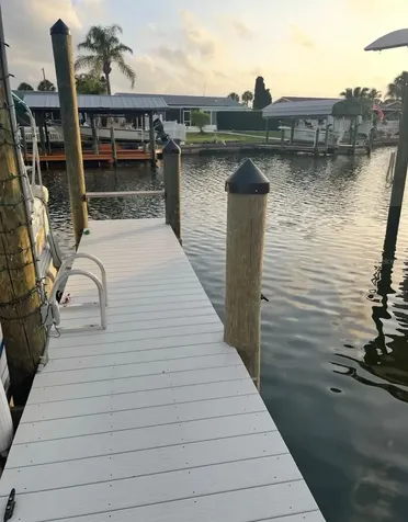 1002 Silver Palm Way Apollo Beach FL 33572