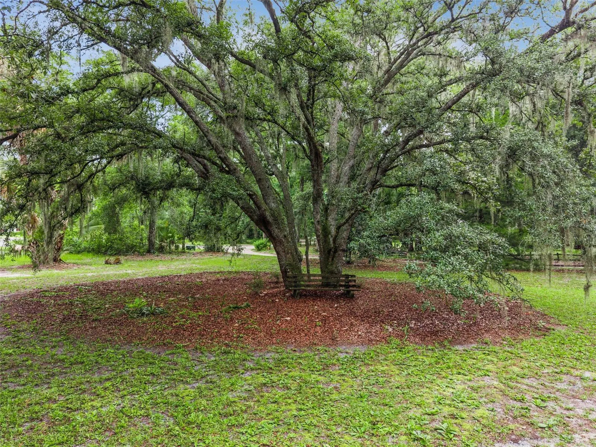2175 Lauren Lane Deland FL 32720