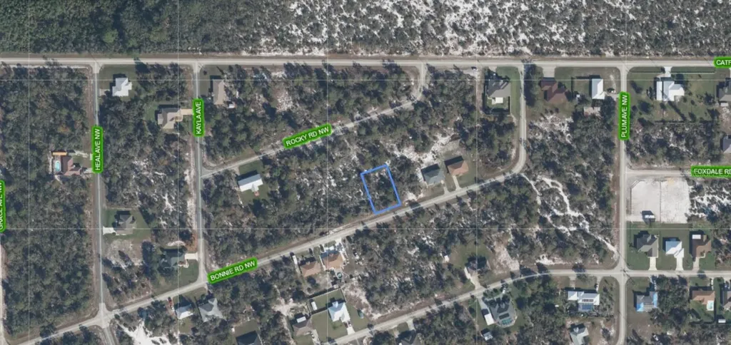 117 Bonnie Road NW Lake Placid FL 33852