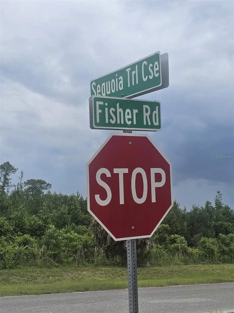 00 Fisher Road Ocklawaha FL 32179