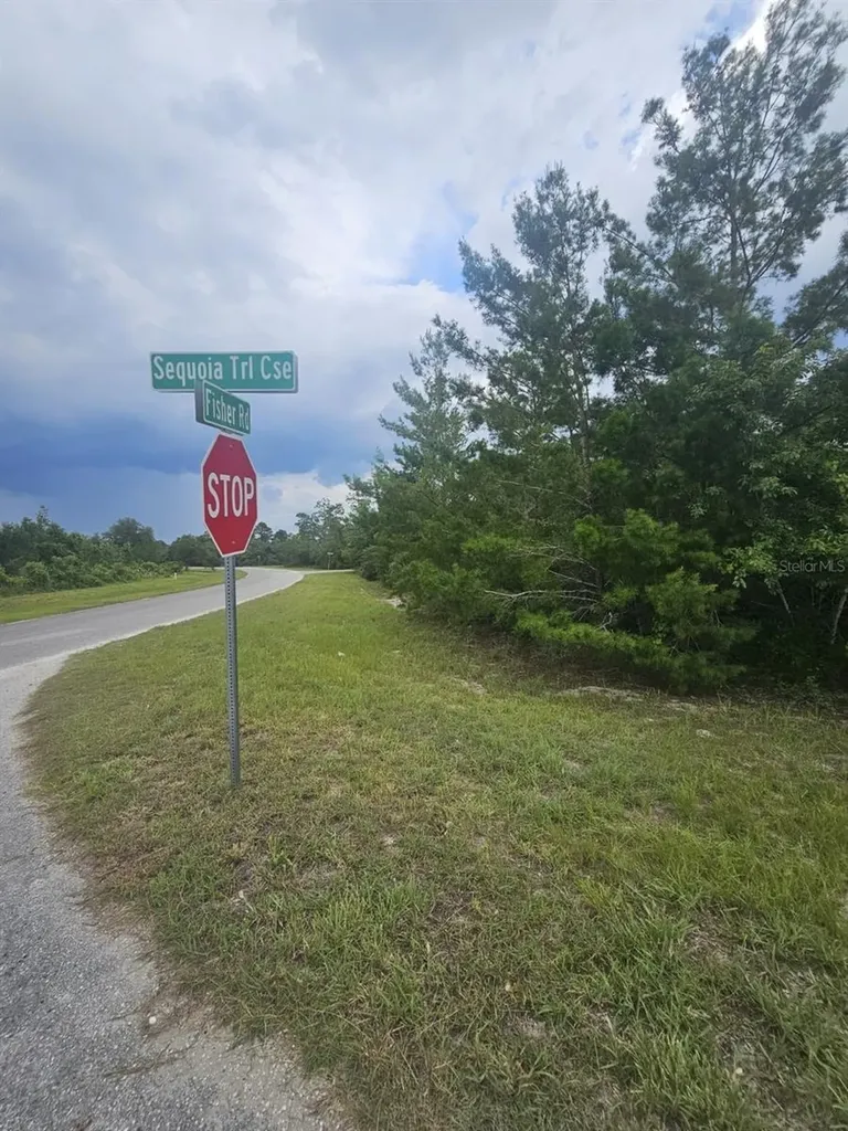 00 Fisher Road Ocklawaha FL 32179