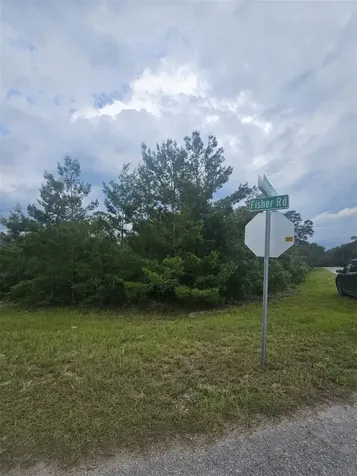 00 Fisher Road Ocklawaha FL 32179