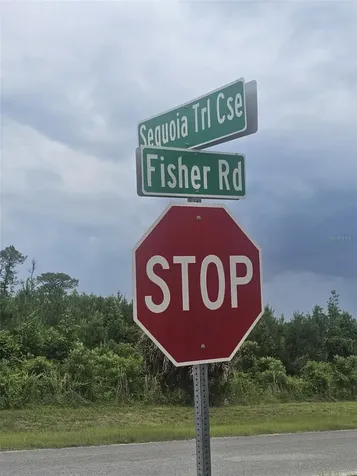 00 Fisher Road Ocklawaha FL 32179